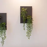 Ntinas Filoxenia & スカラ・ポタミアス