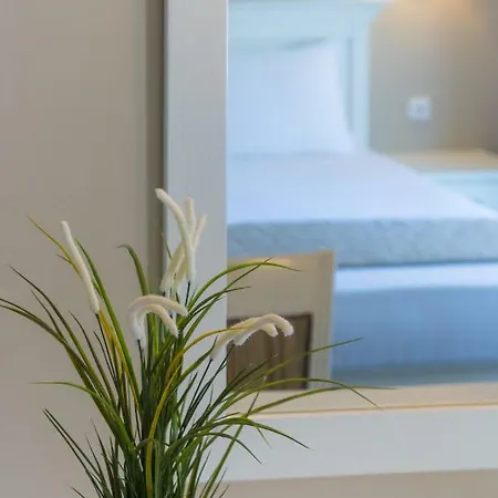 Ntinas Filoxenia Hotel&spa 4* Skala Potamia (Thasos)