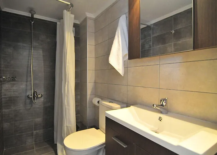 アパートホテル Ntinas Filoxenia & 4*