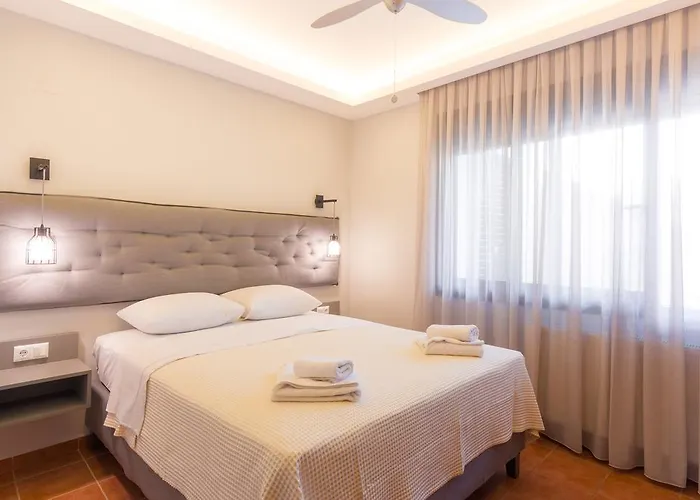 アパートホテル Ntinas Filoxenia & 4*