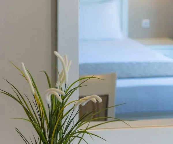 Ntinas Filoxenia & 4* スカラ・ポタミアス